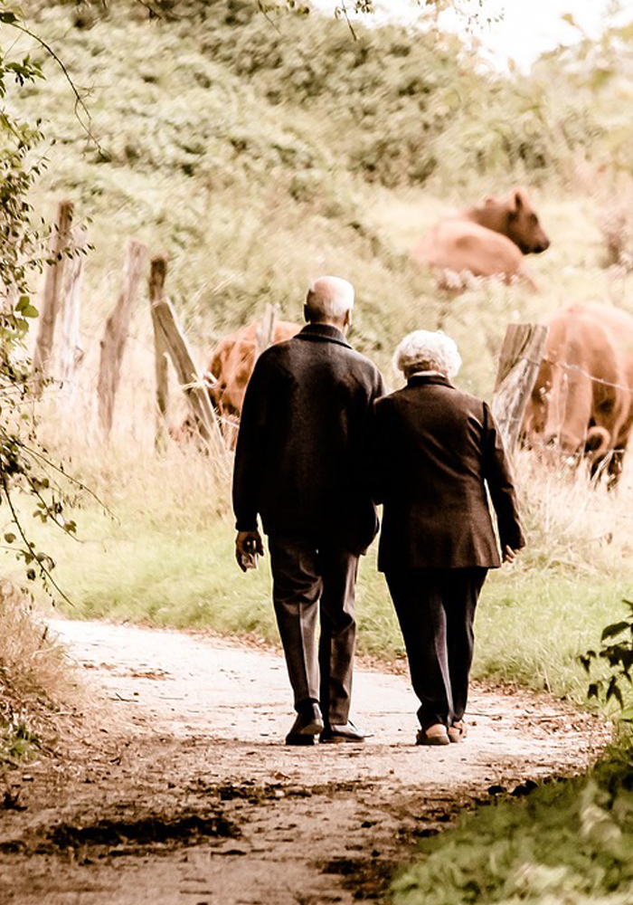 Transitions To Retirement LLC.  Nursing Home Planning (without purchasing insurance) Consulting Services